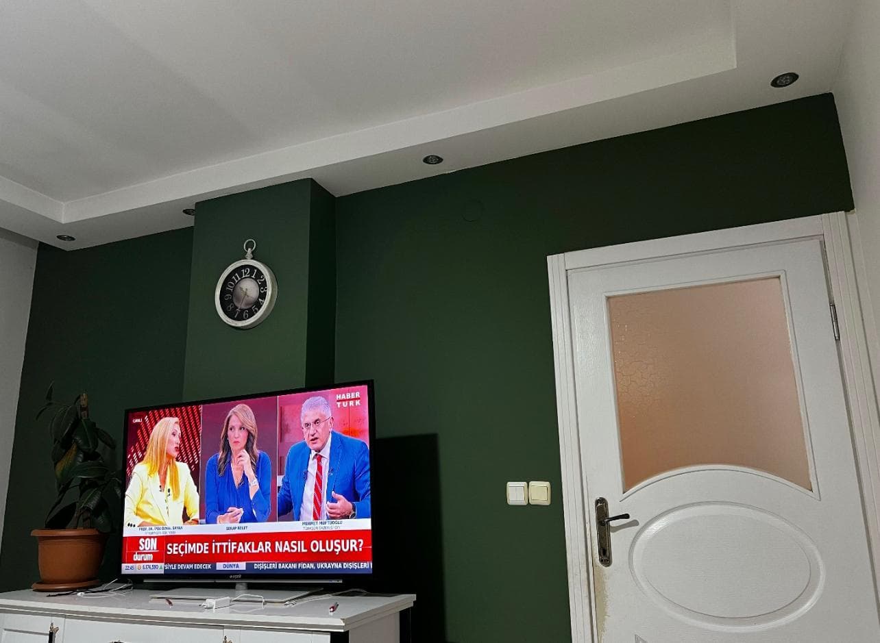 Koyu yeşil boyanmış oturma odası duvarı, televizyon ünitesi ve beyaz camlı kapı